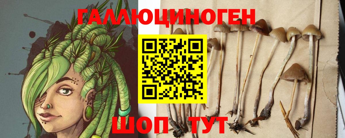 Псилоцибиновые грибы GOLDEN TEACHER  Галлюциногенные грибы мицелий  Десногорск  Вход с VPN 