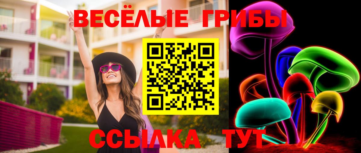 Галлюциногенные грибы прущие грибы Десногорск